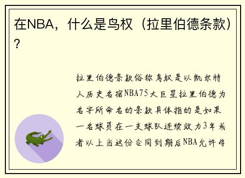 在NBA，什么是鸟权（拉里伯德条款）？