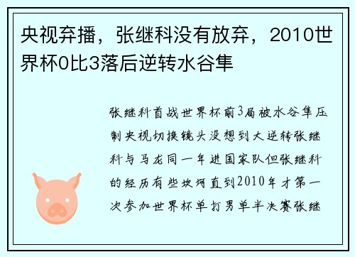 央视弃播，张继科没有放弃，2010世界杯0比3落后逆转水谷隼